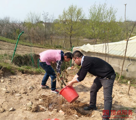 Ͼc(din)ӡˢS(chng)ˮD